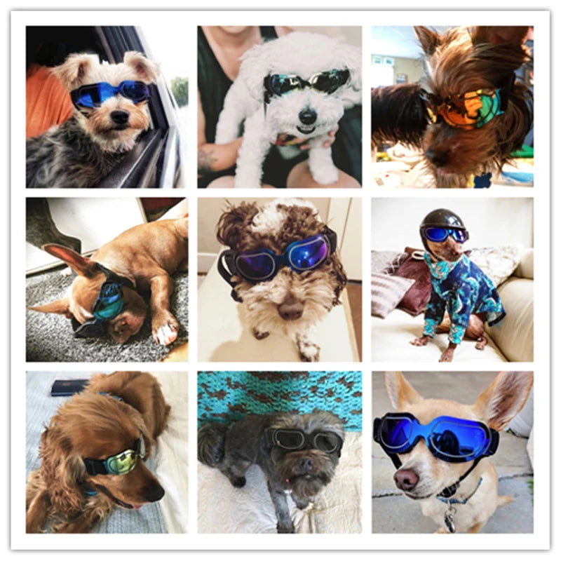Pet Dog Sunglasses Adjustable Goggles For Small Medium Large Dogs Cats Puppy Sun Glasses Dog Outdoor Glasses Pet Toy Supply